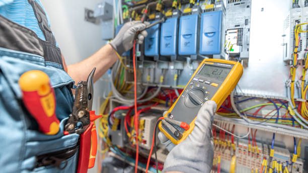 Best Ceiling Fan Installation Electrician  in Paloma Creek South, TX